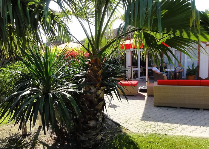 Hotel Kyriad Ouest - Sortie Autoroute Ouest A9 A54 - Parking Gratuit - Terrasse - Jardin - Plateau Repas - Petit Déjeuner Dès 5h30 - Animaux Bienvenue Nîmes